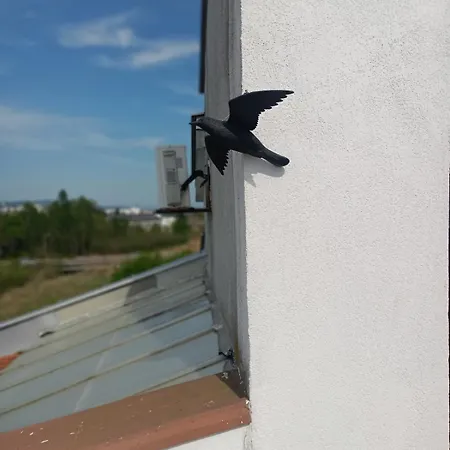 Beautiful Penthouse 아파트